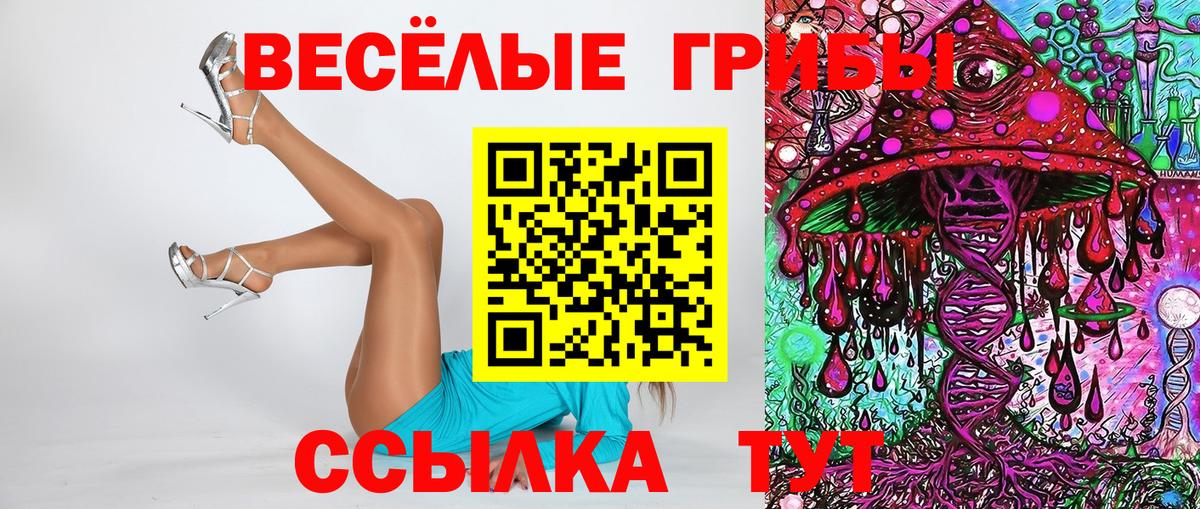 Галлюциногенные грибы Magic Shrooms  Псилоцибиновые грибы GOLDEN TEACHER  Вход с VPN  Пенза 